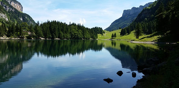 特色小鎮(zhèn)：關(guān)鍵在特色，魅力在特色，生命力在特色——特色小鎮(zhèn)國(guó)